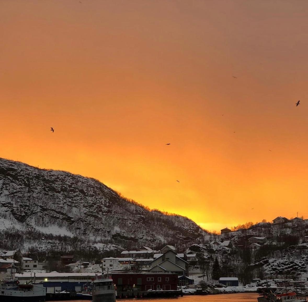 Arctic Loft Lejlighed Skjervoy Eksteriør billede